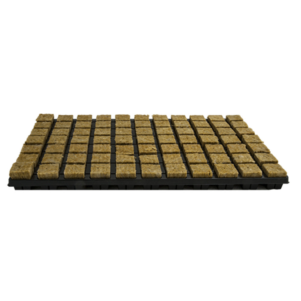 Single Block System (SBS) Stekplaat 77 Stuks 18 Trays