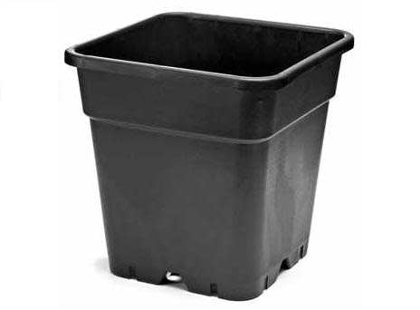 Fertraso Kweekpot Vierkant 25 Liter 33x33 cm Zwart