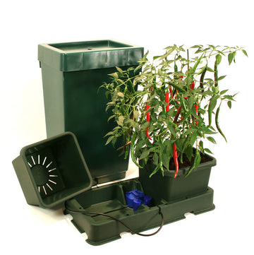 AutoPot Easy2Grow 2 Töpfe Wassersystem-Starterset inkl. Tank