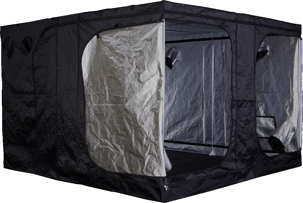 Mammoth Pro+ 300 / HC Kweektent 300x300x200/225 cm