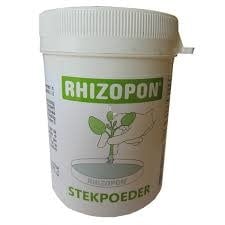 Rhizopon Schneidpulver Grüner Chryzotop 0,25 % 80 Gramm